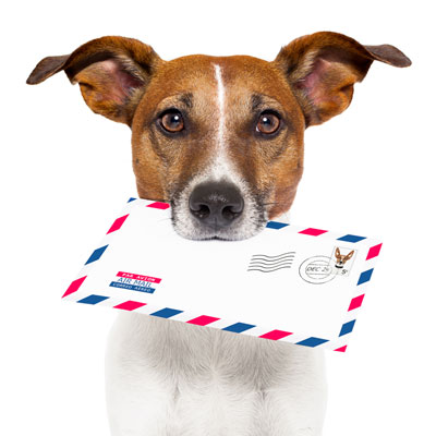 Is Email Marketing dying?